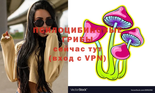 стафф Алексеевка