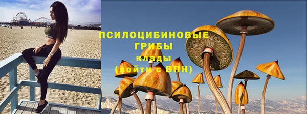 герыч Алексин
